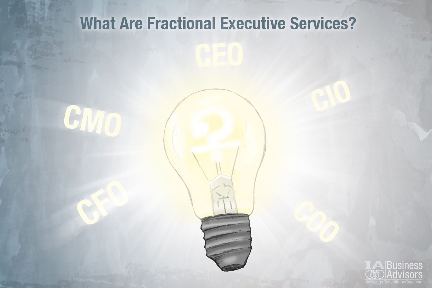 Fractional executive consulting